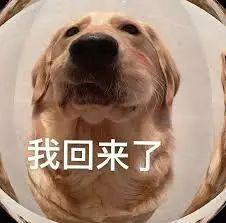 +1TB这手机把全体网友都整不会了凯发k8国际娱乐首选7800mAh(图3)