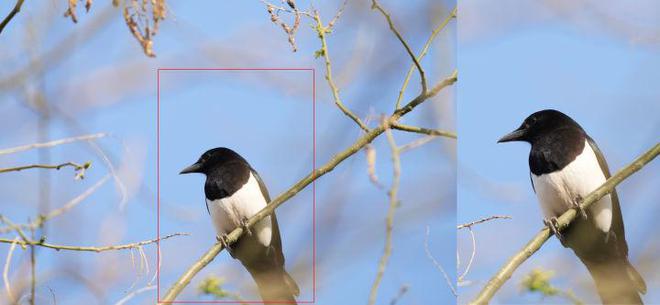 00-800mm F63-8 G OSS评测凯发k8G镜头家族超远新视野 索尼FE 4(图17)